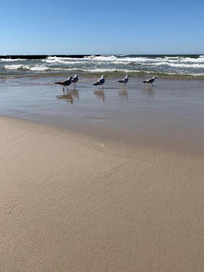 Apartament Sea Tide- Lesne Tarasy Dziwnowek-Sannel Apartments For Rent מראה חיצוני תמונה